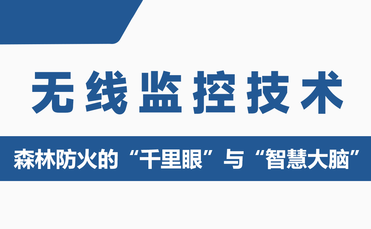 无线监控技术：森林防火的“千里眼”与“智慧大脑”
