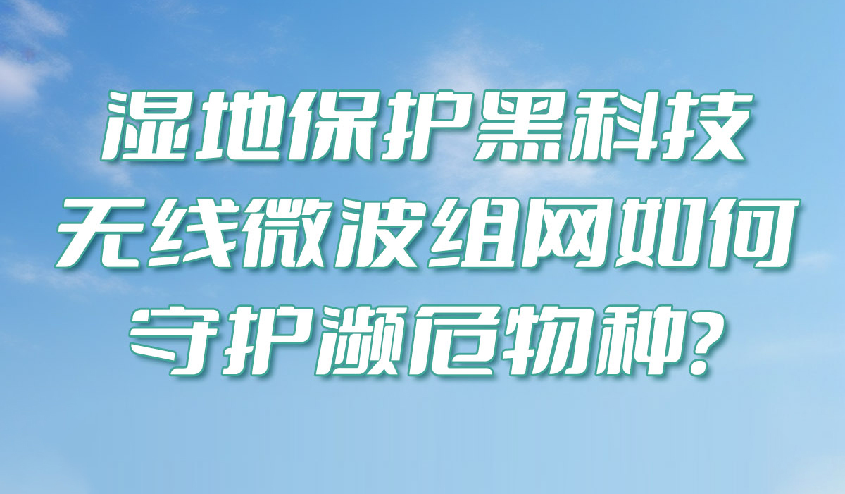 湿地保护黑科技：无线微波组网如何守护濒危物种？