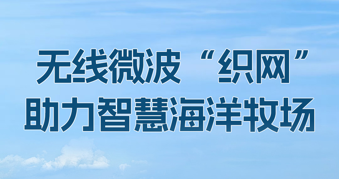 无线微波“织网”，助力智慧海洋牧场